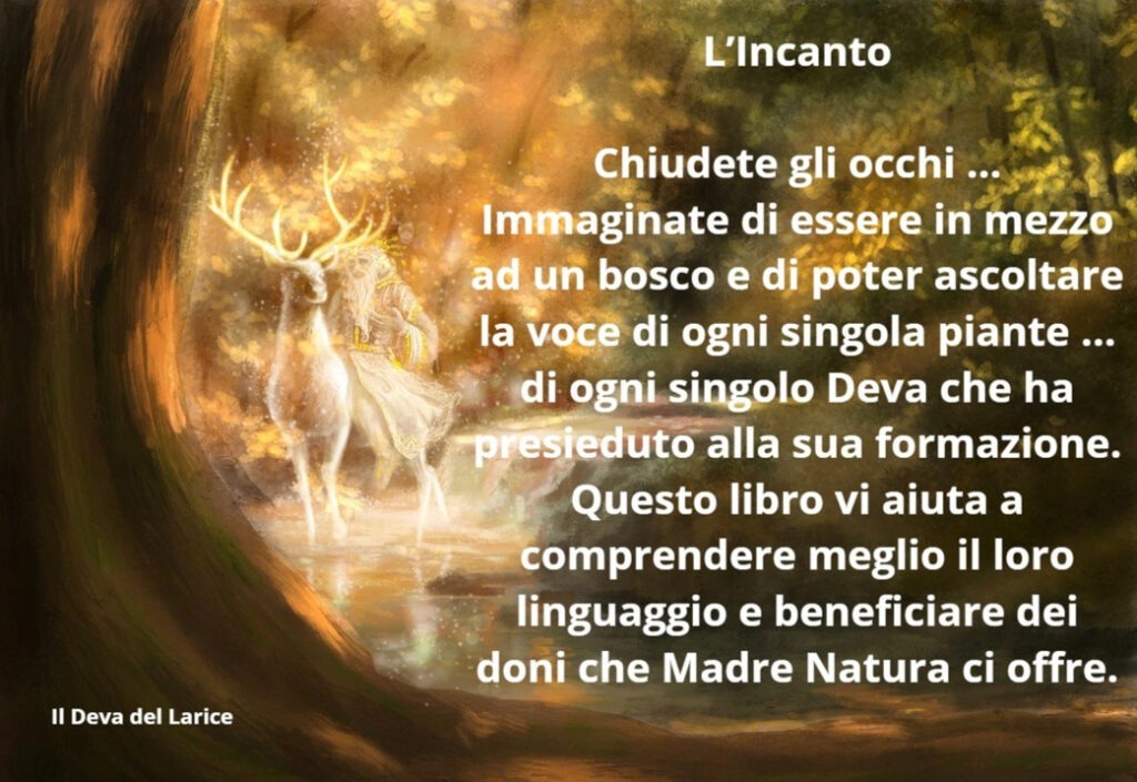 deva larice